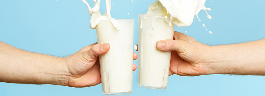 Milk Drinks