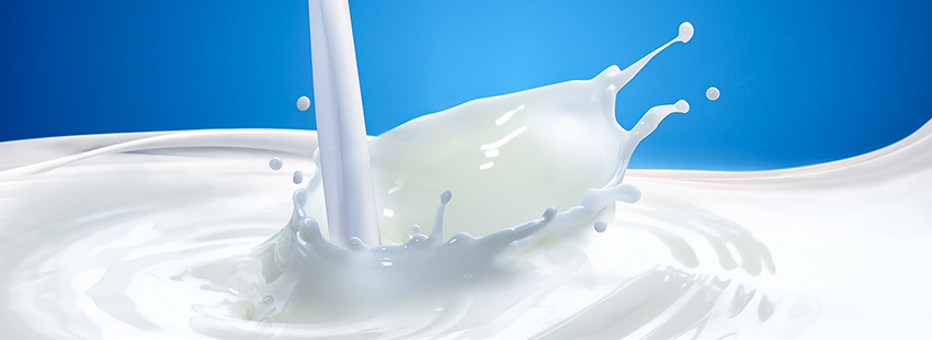 Milk
