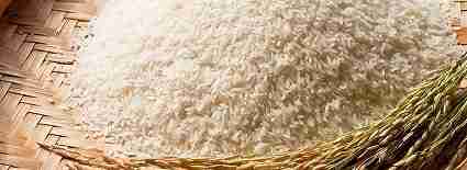 Rice Products