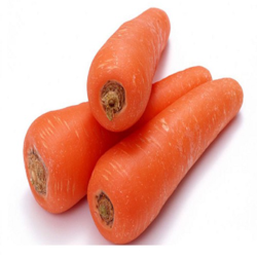 CARROT - GAJAR