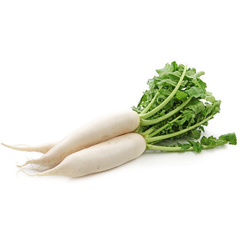 WHITE RADISH MULO MULI