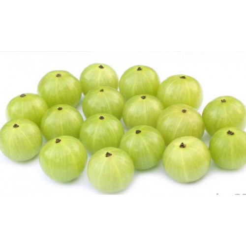 INDIAN GOOSEBERRY AMLA KACHA AMLAKI AMLOKI