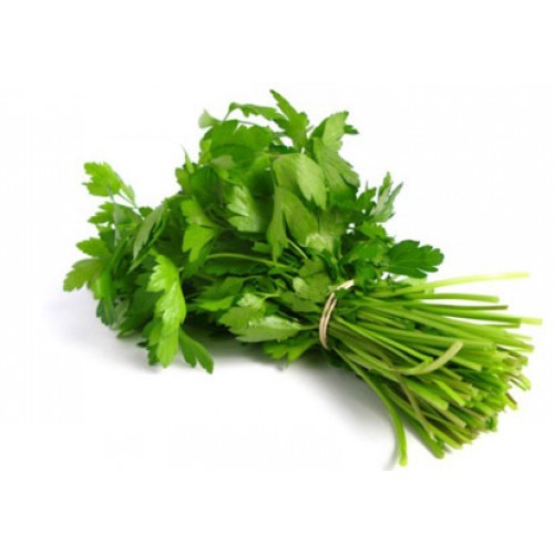 CORIANDER LEAVES (DHANIA / DHONE PATA)