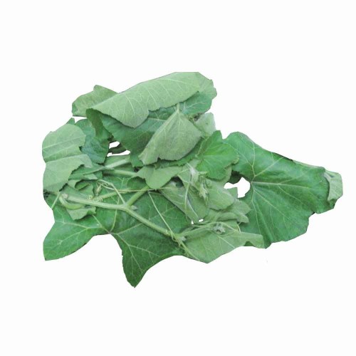 BOTTLE GOURD LEAVES (LAU SAAG SAG / SHAAK SHAK)