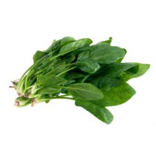 SPINACH PALAK PALANG SAAG SAG SHAAK SHAK