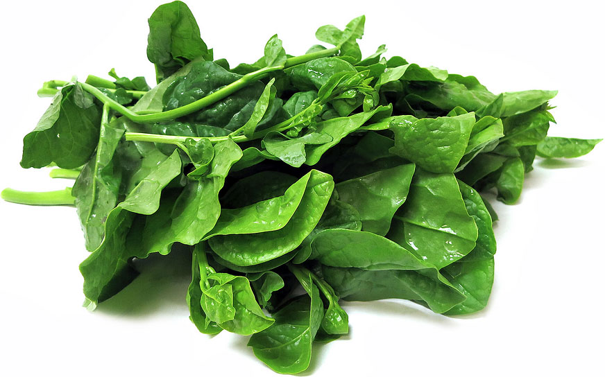 CEYLON SPINACH - PUI SAAG