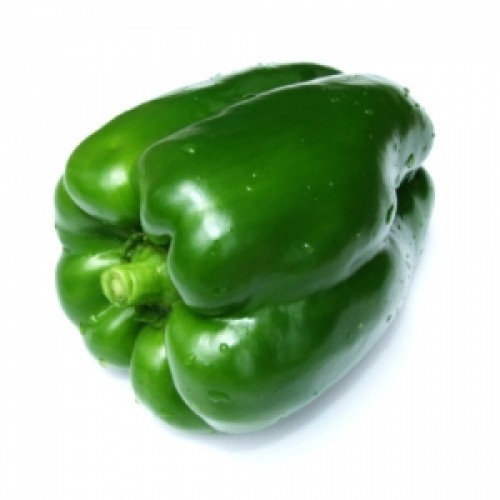 GREEN CAPSICUM - BELL PEPPER