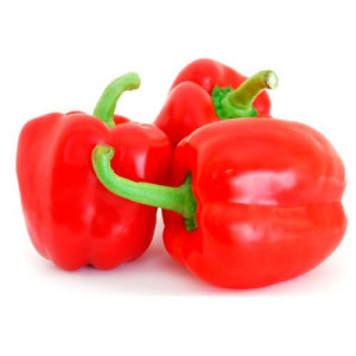 CAPSICUM RED (BELL PEPPER)