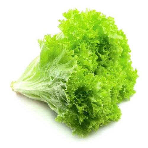LETTUCE GREEN (APPROX. FINAL RATE AS PER WEIGHT))
