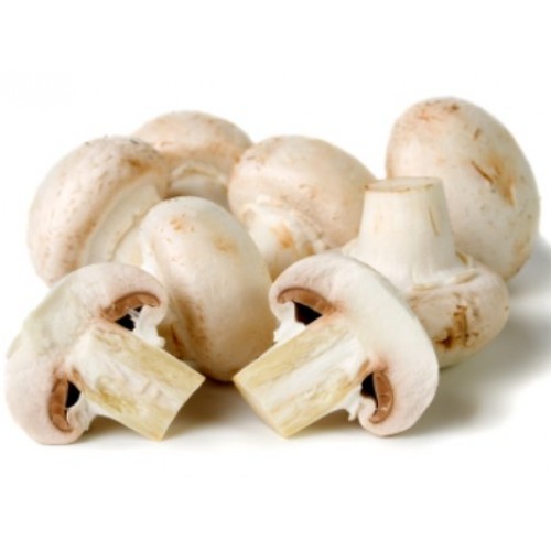 MUSHROOM