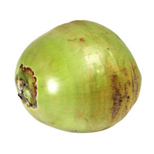 TENDER COCONUT (DAAB)