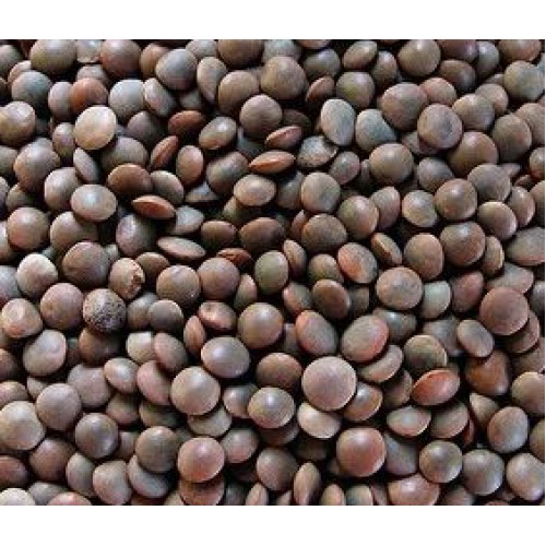 BLACK MASOOR DAL - GOTA MUSUR DAL
