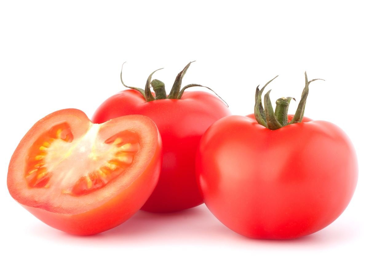 TOMATO - TAMATAR