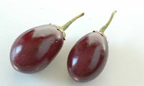 BRINJAL - BEGUN