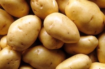 POTATO