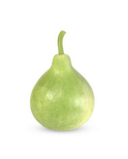 BOTTLE GOURD LAUKI LAU (APPROX 1 KG)