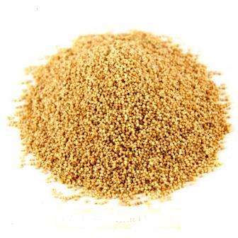 POPPY SEED - POSTO - BEST QUALITY