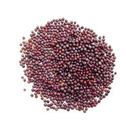 RED MUSTARD SEED BEST QUALITY