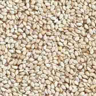 WHITE SESAME SEEDS TIL TEEL