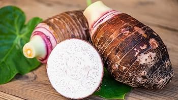 COLOCASIA - TARO ROOT - WALTAIR KOCHU